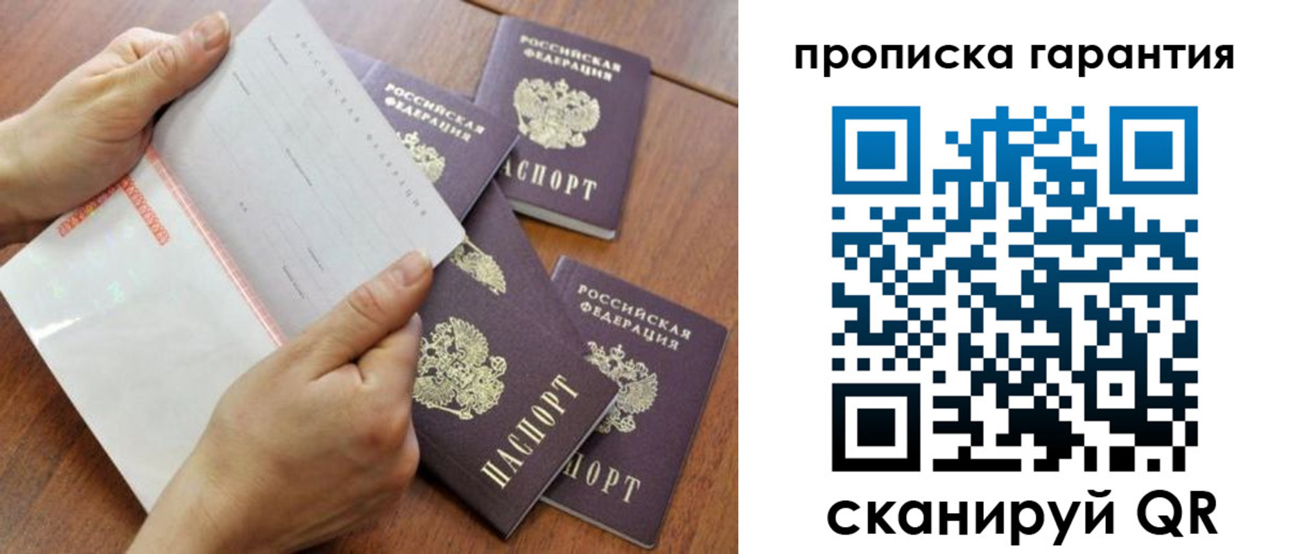 прописка в Щёкино